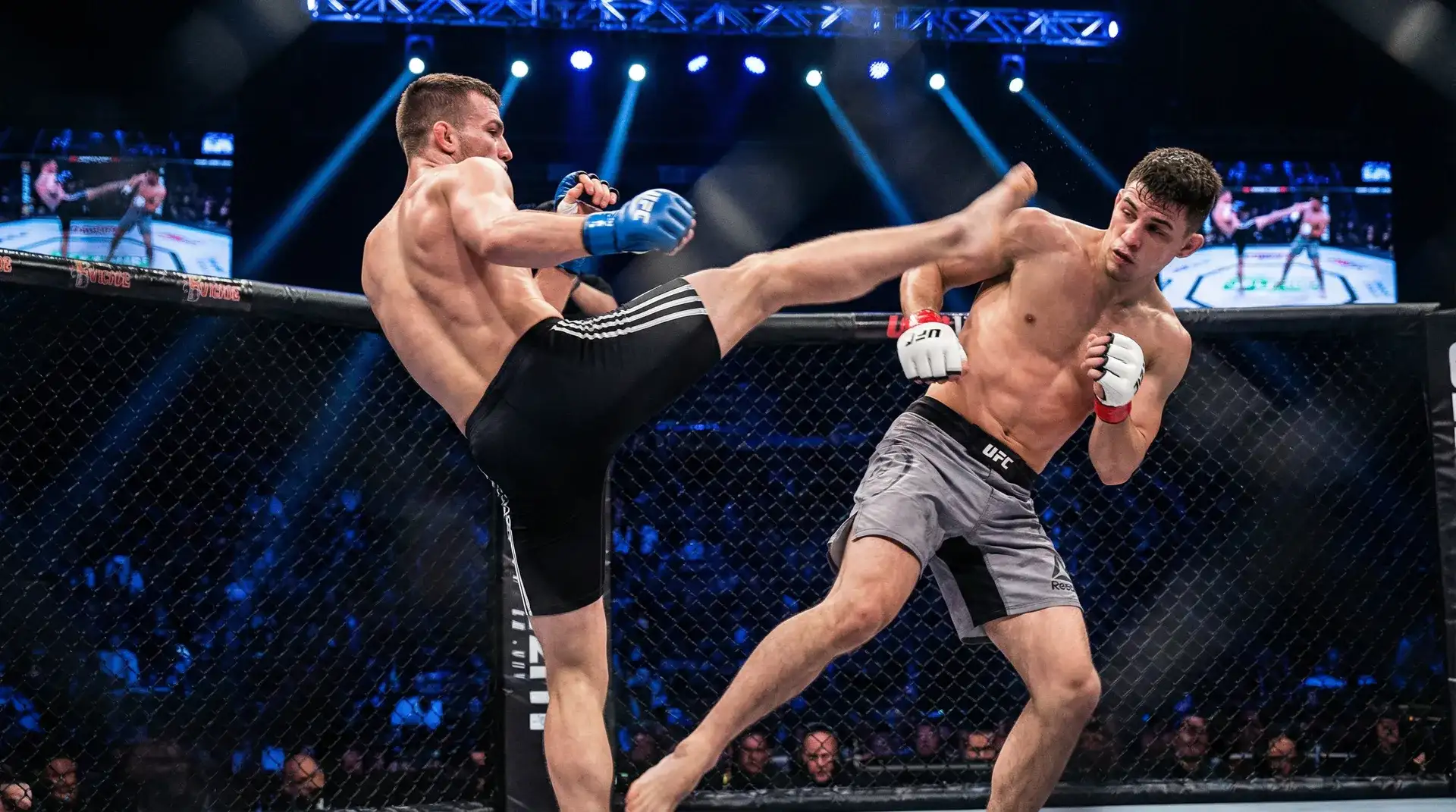 每日大赛 羽量级选手闪电踢击精彩瞬间