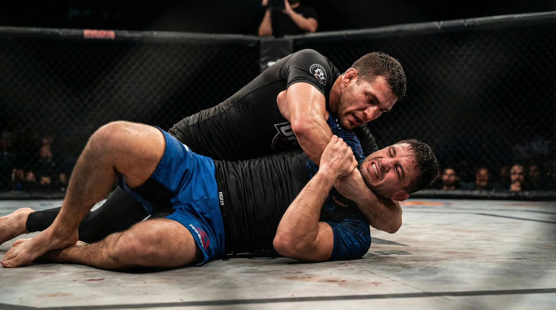 每日大赛 地面格斗技巧教学视频